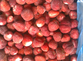 Organic Strawberry, IQF Frozen